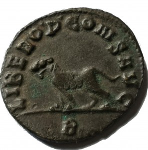 Coin photo