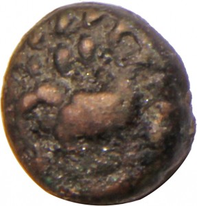 Coin photo