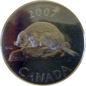 Coin photo