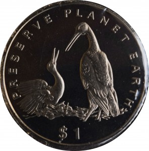 Coin photo