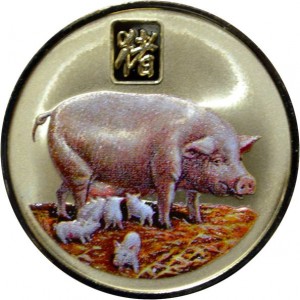 Coin photo