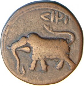 Coin photo