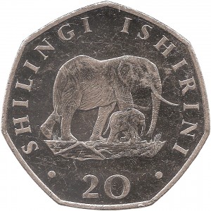 Coin photo