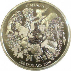 Coin photo