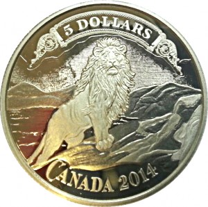 Coin photo