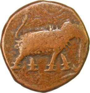Coin photo