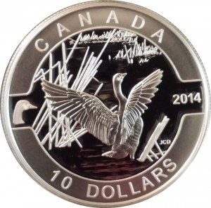 Coin photo