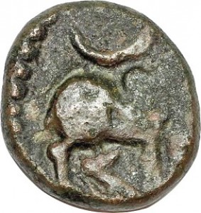 Coin photo