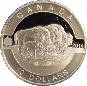 Coin photo