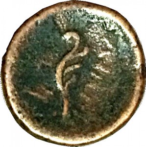 Coin photo