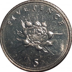 Coin photo