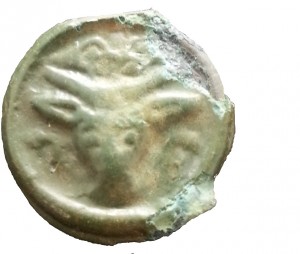 Coin photo