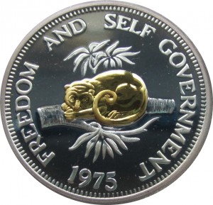 Coin photo