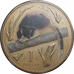 Coin photo