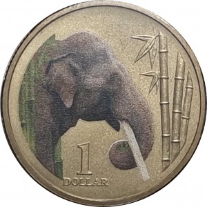 Coin photo