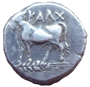 Coin photo