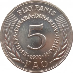 Coin photo