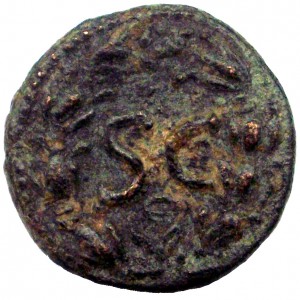 Coin photo