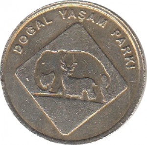 Coin photo