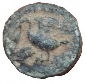 Coin photo