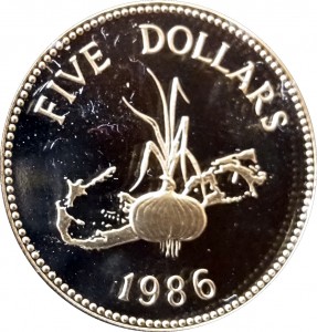 Coin photo