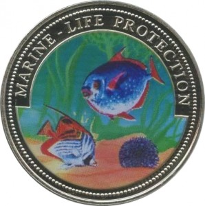 Coin photo