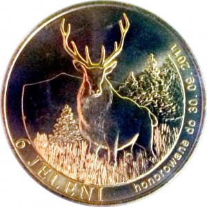 Coin photo