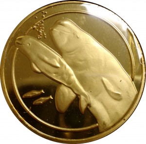 Coin photo