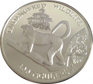 Coin photo