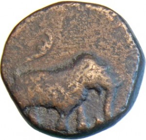 Coin photo