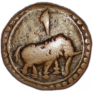 Coin photo