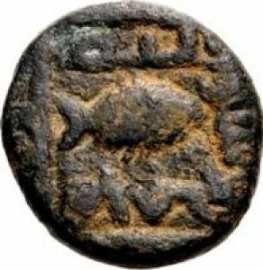 Coin photo