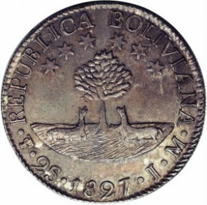Coin photo