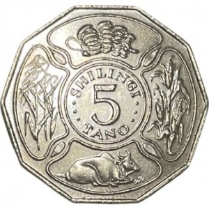 Coin photo