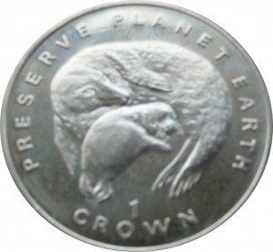 Coin photo