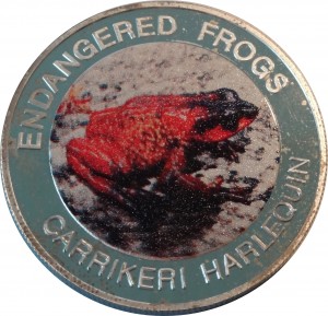 Coin photo