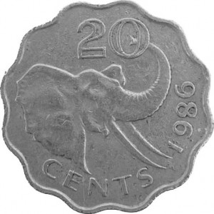Coin photo