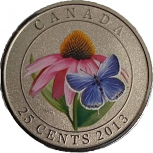 Coin photo