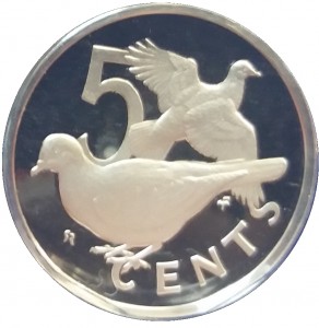 Coin photo