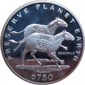 Coin photo