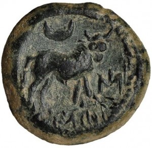 Coin photo