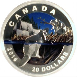 Coin photo