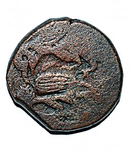 Coin photo