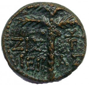 Coin photo