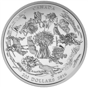 Coin photo