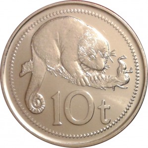 Coin photo