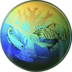 Coin photo