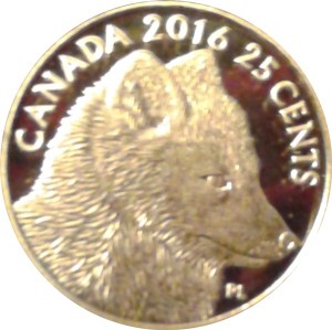Coin photo