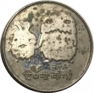 Coin photo