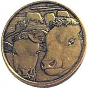 Coin photo